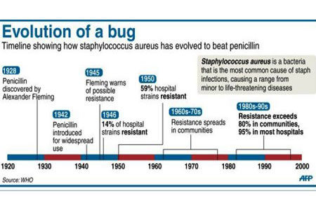 Super Bug - Evolution