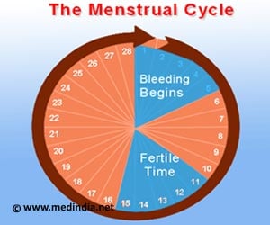 Menstrual Cycle - Phases, Mechanism, Causes, Prevention and Myths