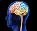 Top 10 Amazing Brain Facts