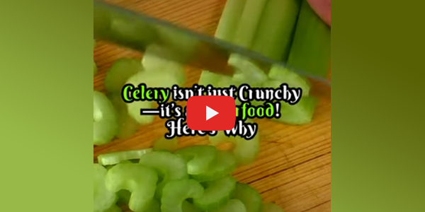 Benefits of Celery 