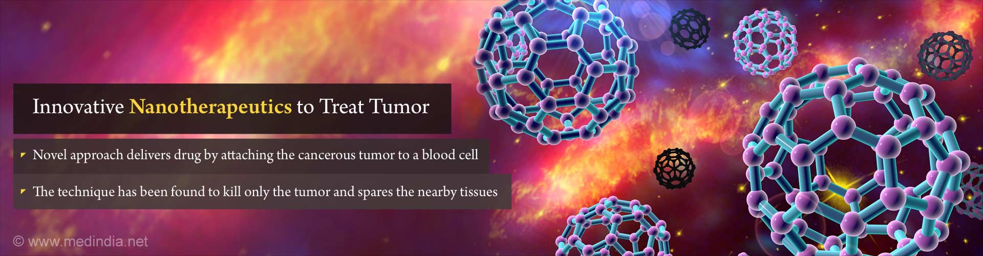 Nanotherapeutics: Innovative Way of Delivering Drug to Cancerous Tumor