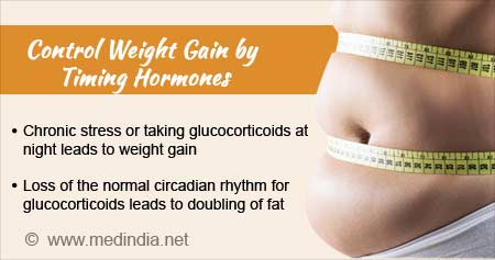 Health Tip on Timing of Stress Hormone to Control Weight Gain - Health Tips