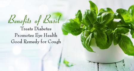 Fantastic Ways That Basil Helps Keep You Healthy Health Tips