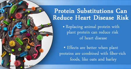 Health Tip On Altering Protein Intake Can Lower Heart Disease Risk ...