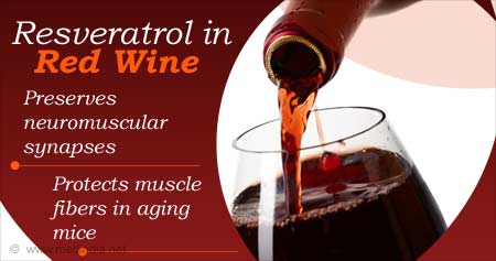 Health Tip On Resveratrol In Wine Could Protect Neurons From Aging ...