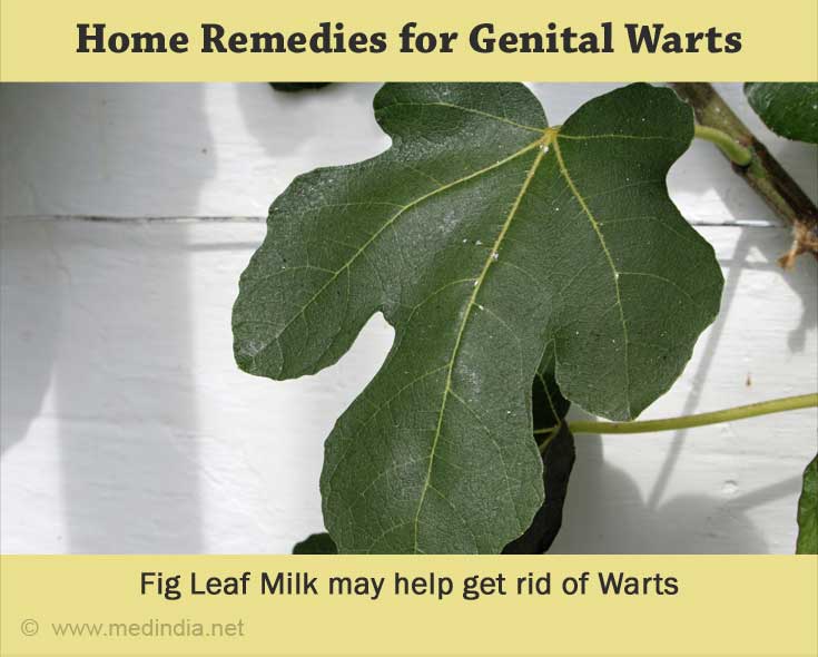 Fig Leaf for Genital Warts