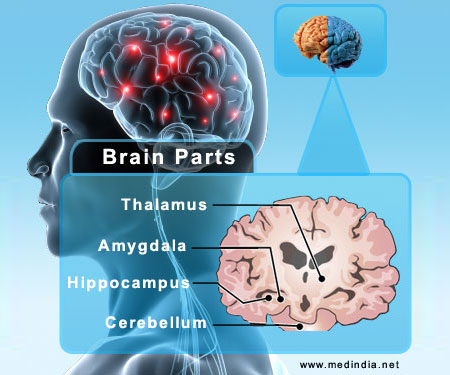 Amnesia - Infographic