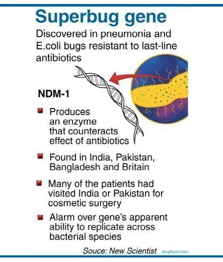 Superbug - Infographic