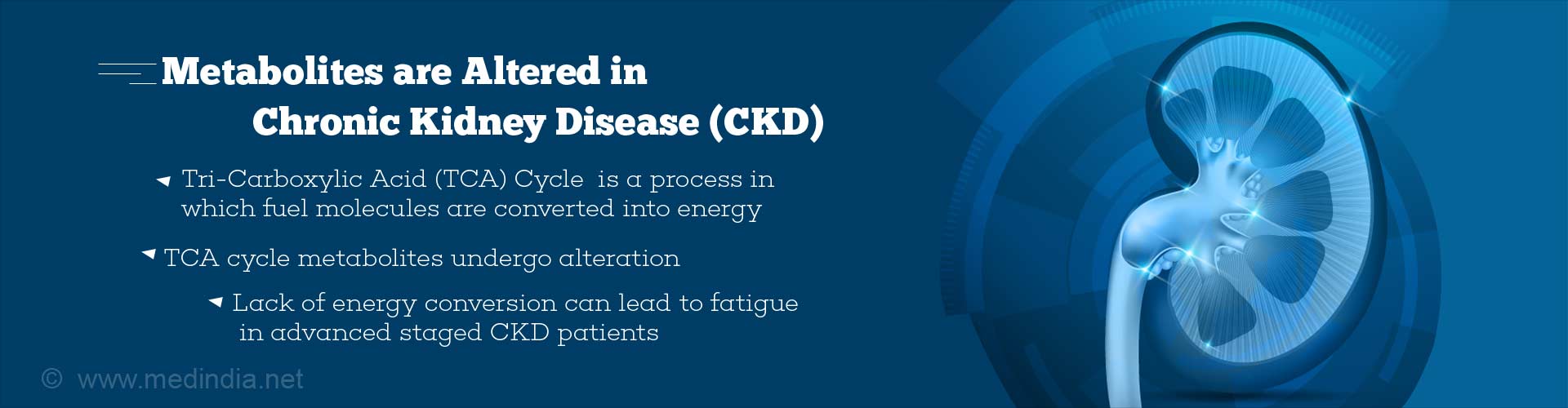 TCA Cycle Metabolites Found to be Altered in Chronic Kidney Disease