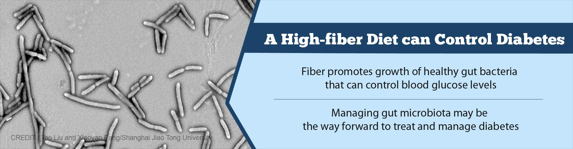 high fiber diet for diabetes type 2