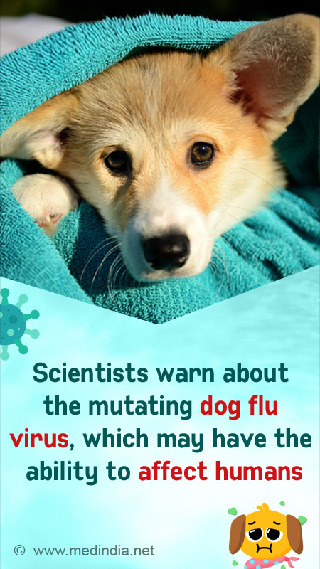 can humans and dogs get the same virus