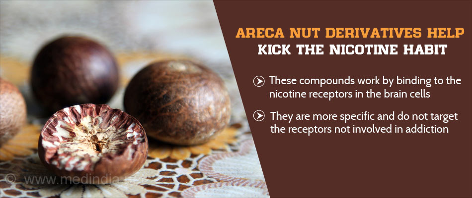 Areca Nut Derivatives Could Help Smokers Break Their Habit