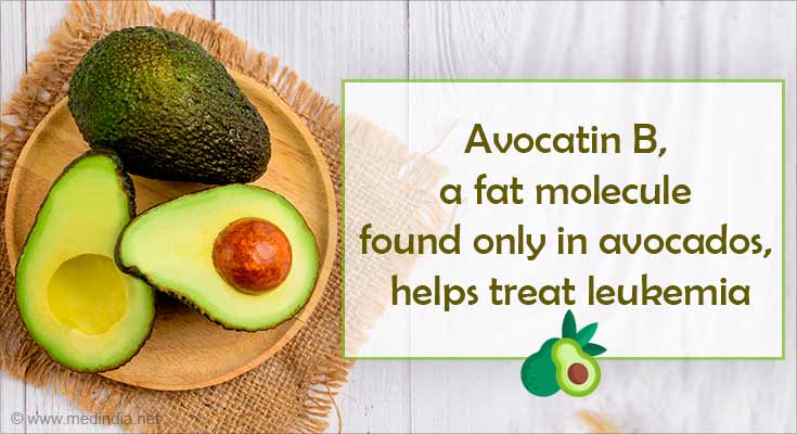 Can Avocado Help Treat Leukemia?