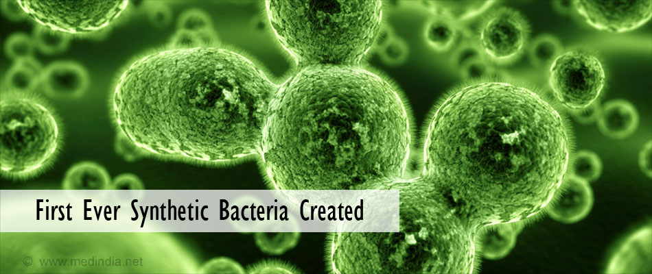 Scientists Create Synthetic Bacterium