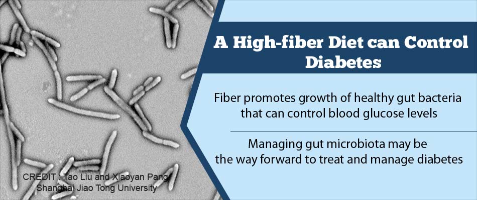 high fiber diet for diabetes type 2