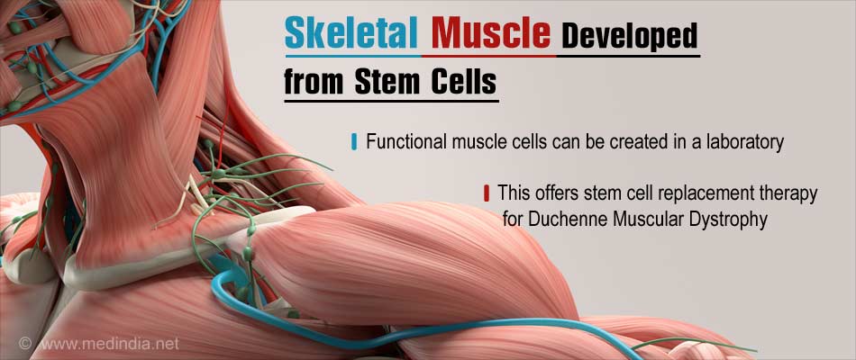 Generate your muscle - Innovative stem cell therapy for muscle