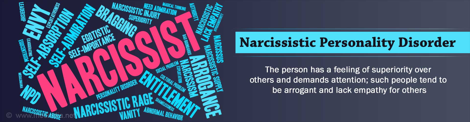 narcissistic and paranoid personality disorder