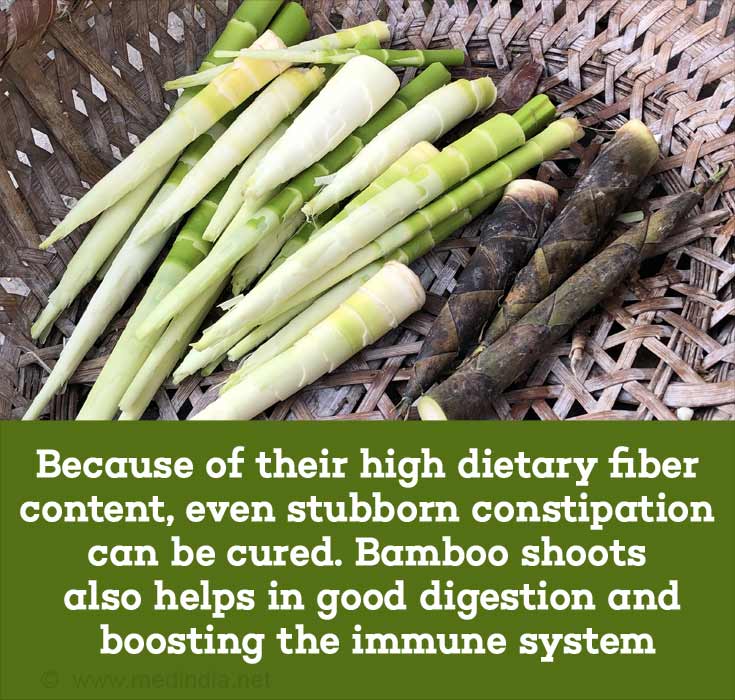 Bamboo Food