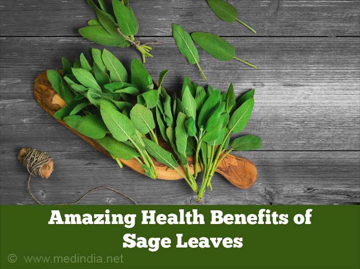 Benefits of Sage Leaves Herbs and Health Sage