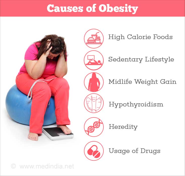 Causes Of Obesity