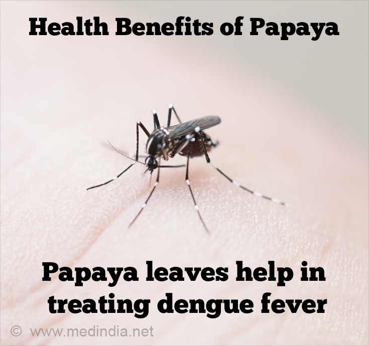 Papaya Leaves Help Treat Dengue Fever