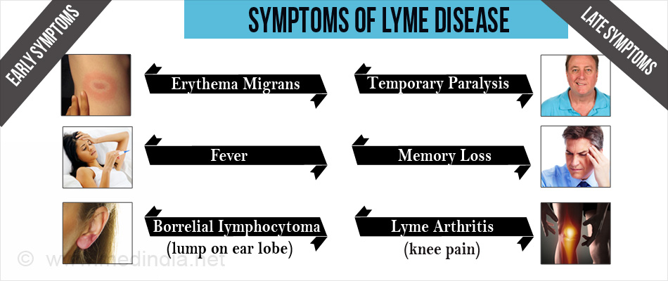 Lyme Disease - Causes, Symptoms, Diagnosis, Treatment, Prevention