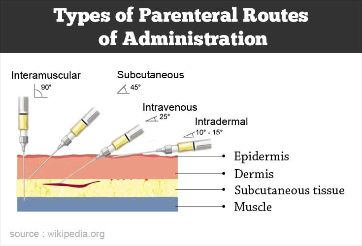 Routes of Drug Administration