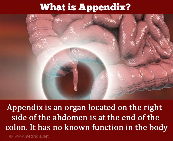 What is Appendix