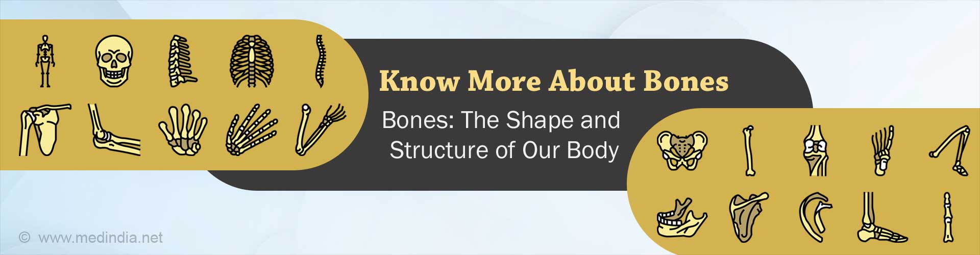 how-well-do-you-know-your-bones