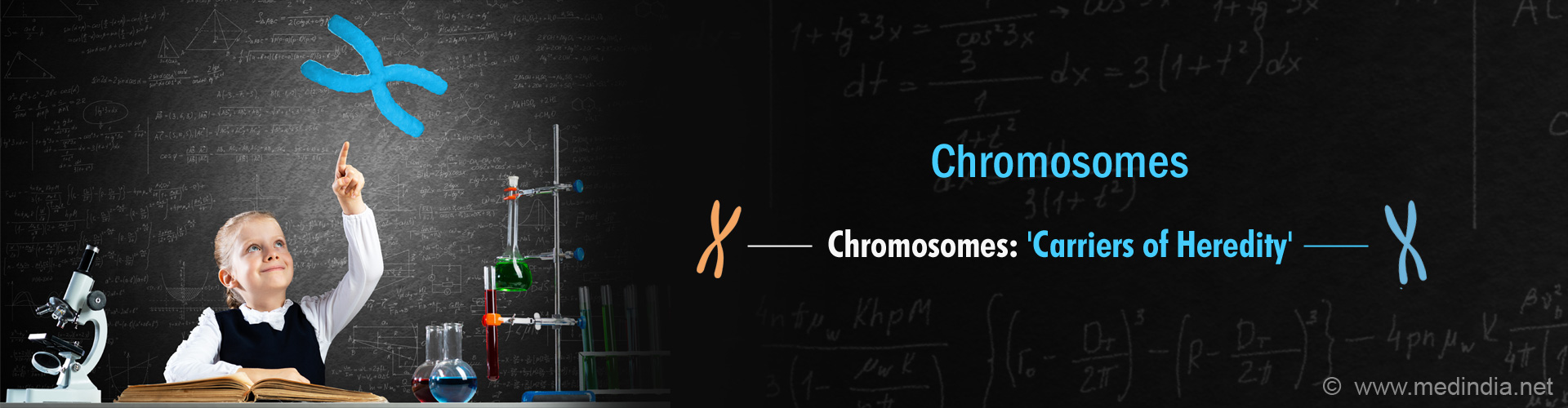 Test Your Knowledge About Chromosomes 5727