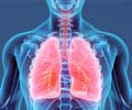 Role of Copper in Lung Cancer and the Potential of Copper Chelation Therapy