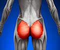 Dead Butt Syndrome? Strengthen Your Glutes