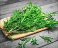 Health Benefits of Rosemary Herb