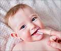 Test Your Knowledge on Baby teeth