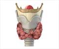 Quiz on Larynx