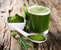 Quiz on Wheatgrass