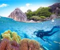 Top 14 Health Benefits of Scuba Diving - Slideshow