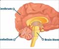 Ataxia - Support Groups