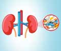 Drug-Induced Kidney Disease