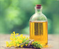 Is Canola Oil Healthy?