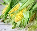 Corn Power: Nutritional Powerhouse in every Kernel