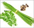 Moringa