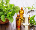 Top 15 Health Benefits of Peppermint Oil