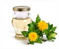 11 Health Benefits of Safflower Oil