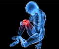 Joint Pain Symptom Evaluation