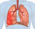 Chronic Respiratory Diseases Mortality Increased Among US