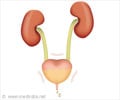 Urinary Incontinence Symptom Evaluation