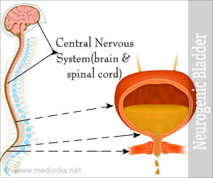 Neurogenic Bladder - References