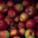 Two Apples a Day Reduces Heart Disease Risk in Women