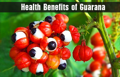 Top 5 Health Benefits of Guarana